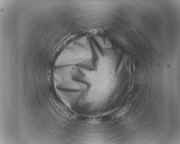 X0000053150656200508012311