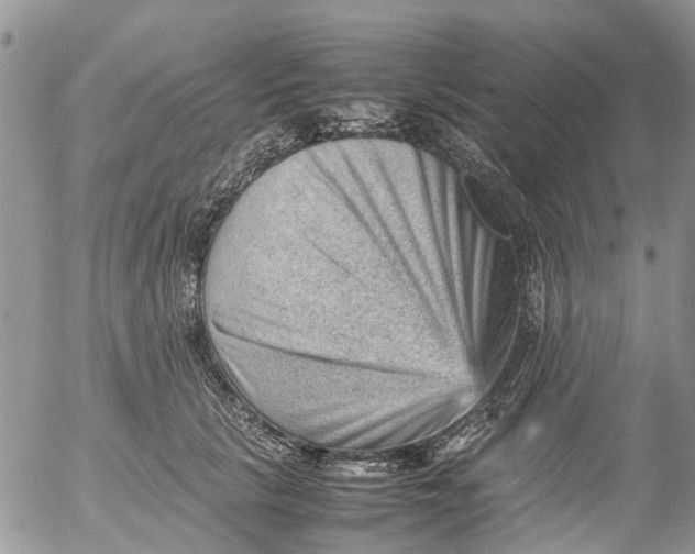 X0000053150657200508012311