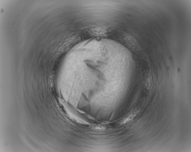 X0000053150658200508012311