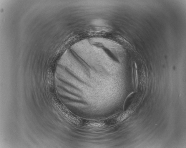 X0000053150659200508012311