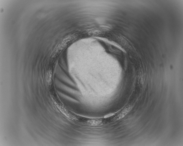 X0000053150660200508012311