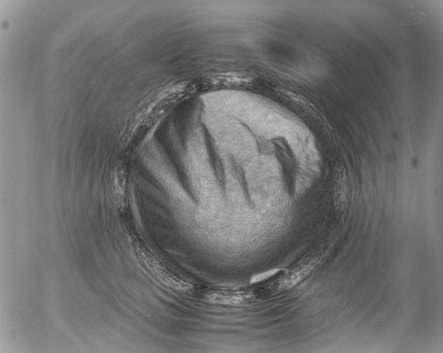 X0000053150661200508012311