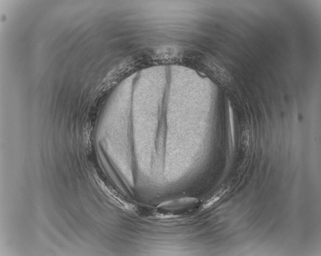 X0000053150662200508012311