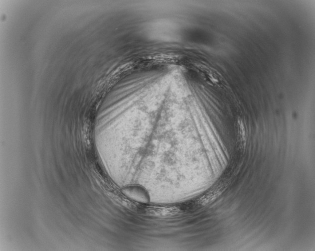 X0000053150663200508012311