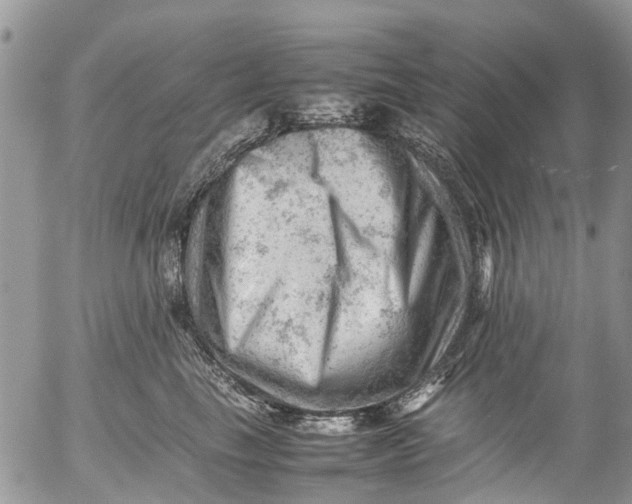 X0000053150665200508012311