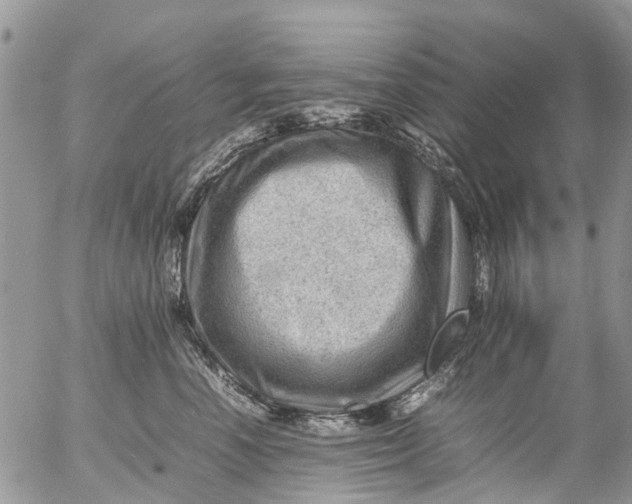 X0000053150666200508012311