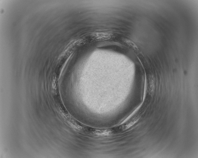 X0000053150667200508012311