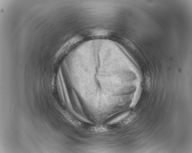 X0000053150668200508012311