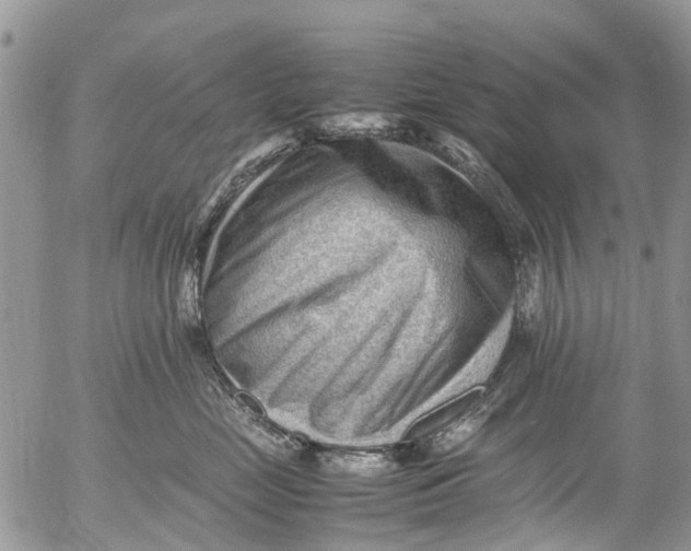 X0000053150669200508012311