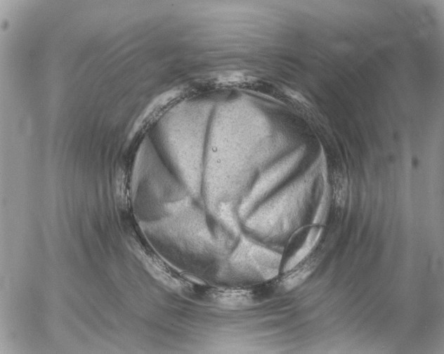 X0000053150670200508012311