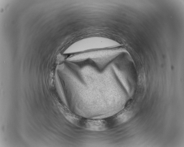 X0000053150671200508012311