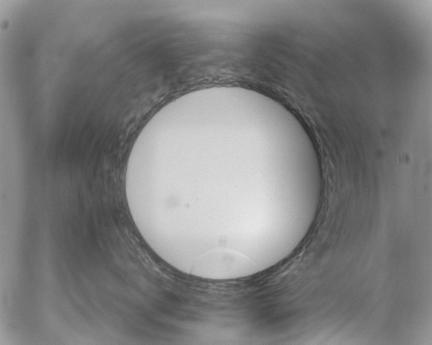 X0000053150672200508012311