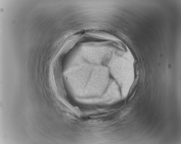 X0000053150673200508012310