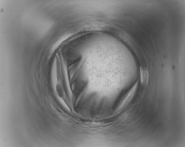 X0000053150675200508012310