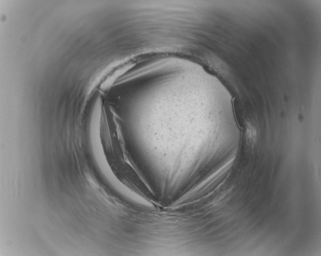X0000053150676200508012310