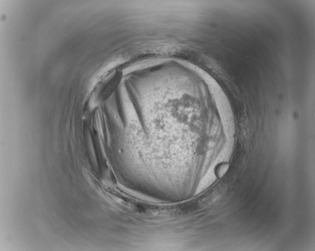 X0000053150679200508012310