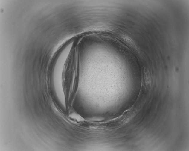 X0000053150680200508012310