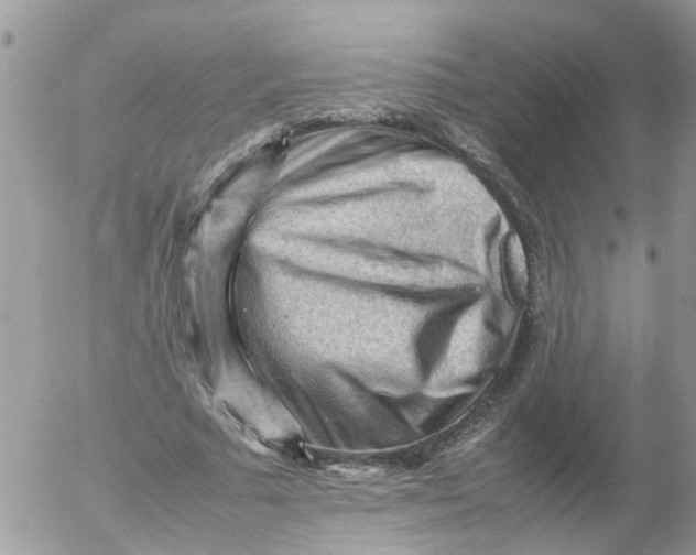 X0000053150681200508012310