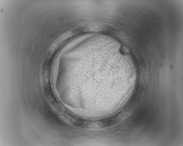 X0000053150683200508012310