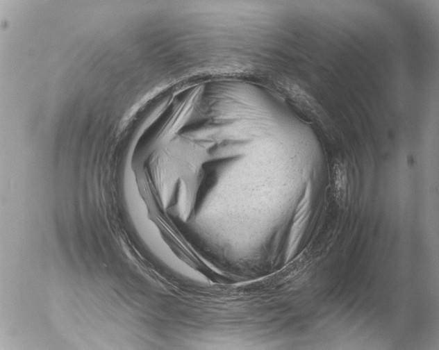 X0000053150684200508012310