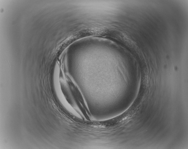 X0000053150689200508012310