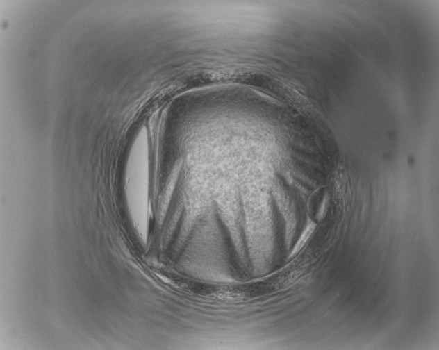 X0000053150691200508012310