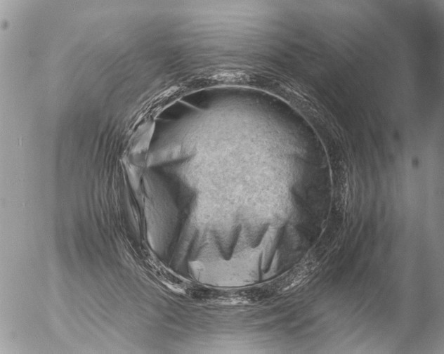 X0000053150696200508012310