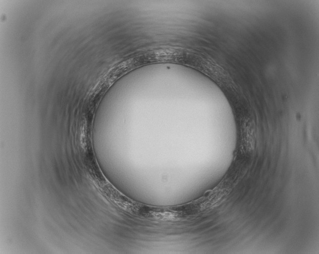 X0000053150698200508012310