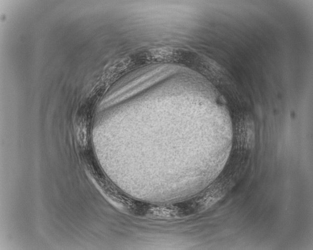 X0000053150703200508012310