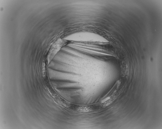 X0000053150704200508012310