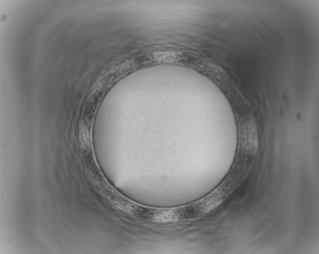 X0000053150705200508012310