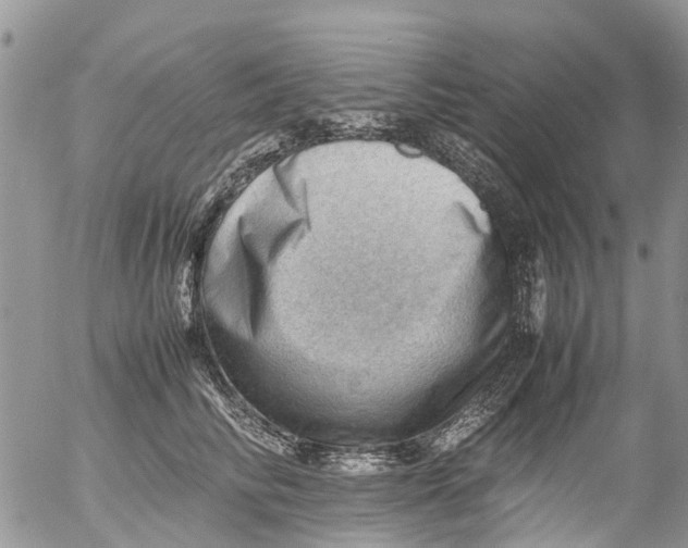 X0000053150710200508012310