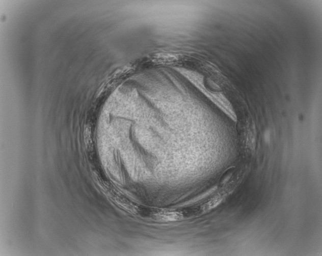 X0000053150711200508012310