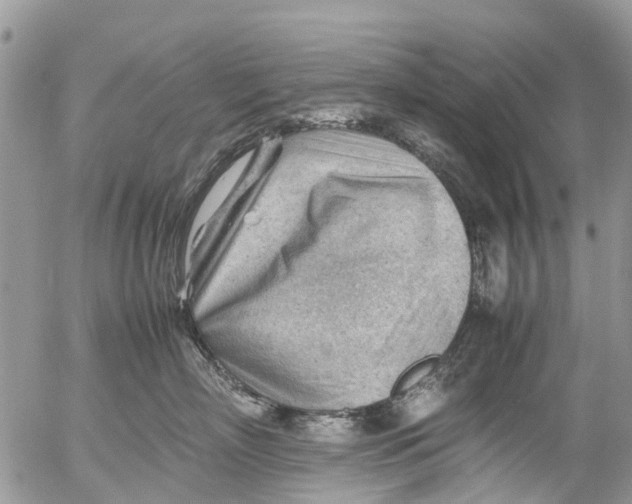 X0000053150718200508012310