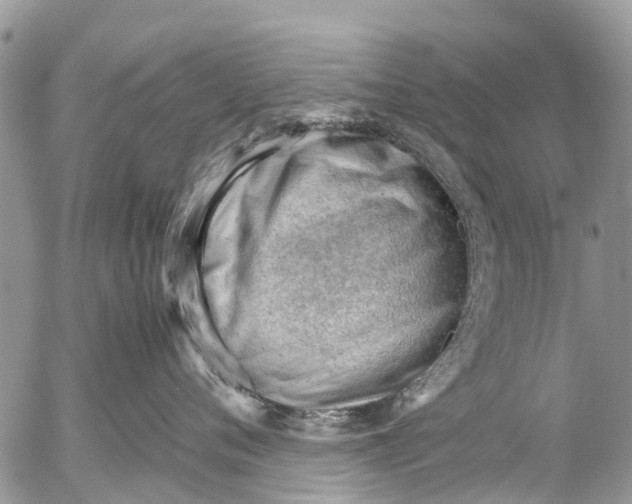 X0000053150720200508012310