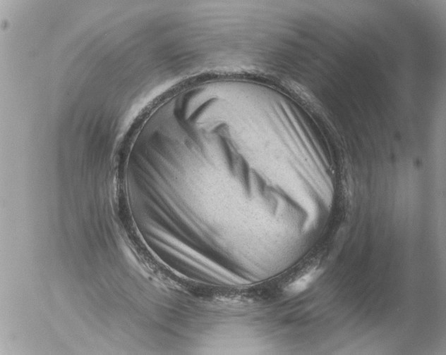 X0000053150728200508012309