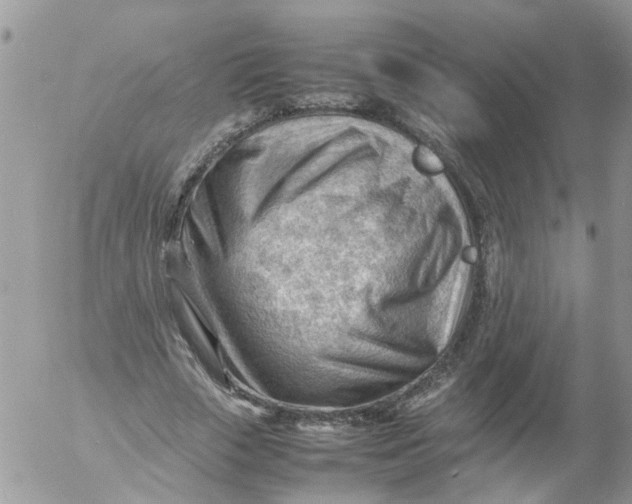 X0000053150729200508012309