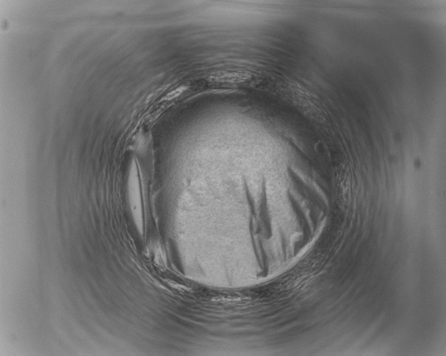 X0000053150745200508012309