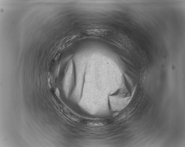X0000053150749200508012309