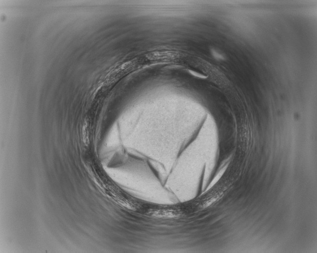 X0000053150751200508012309