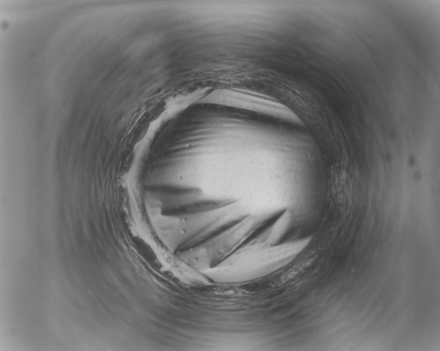 X0000053150752200508012309