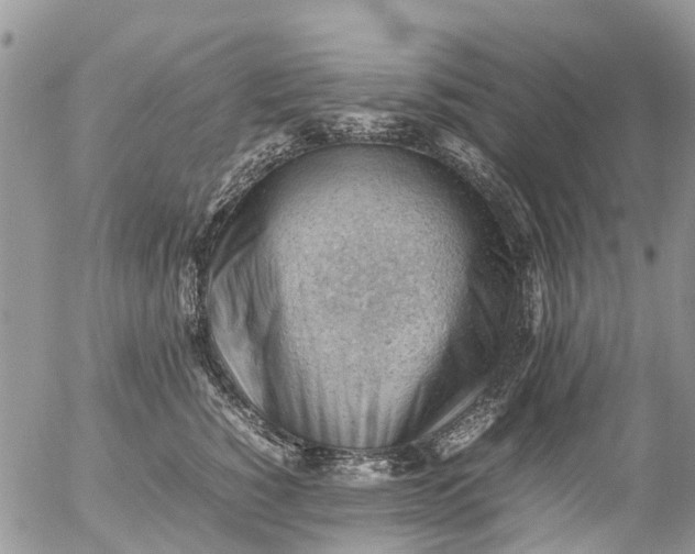 X0000053150760200508012309