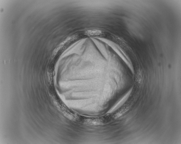 X0000053150763200508012309