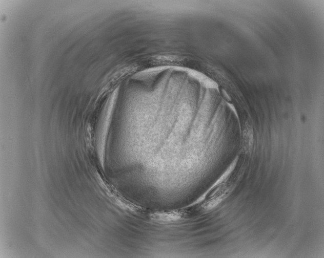 X0000053150765200508012309