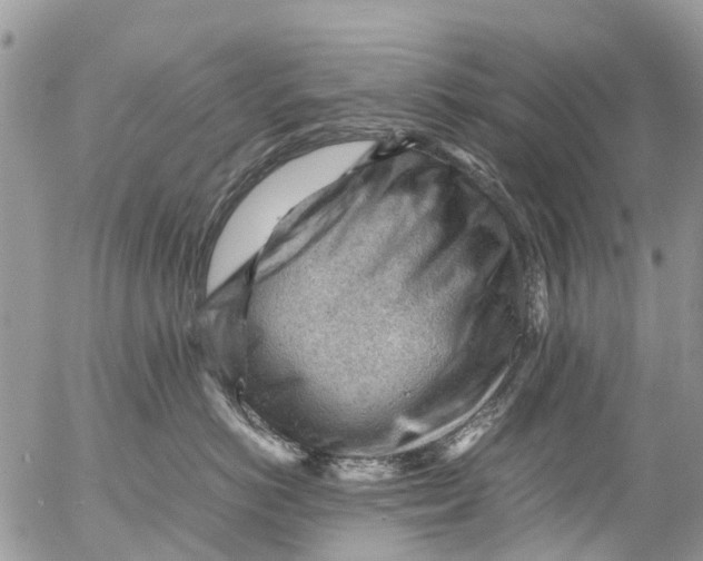 X0000053150766200508012309