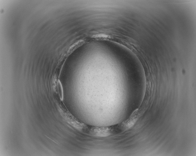X0000053150767200508012310