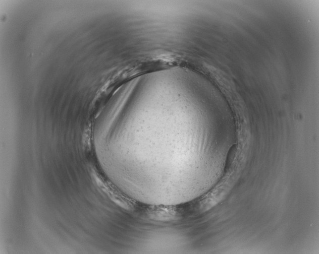 X0000053150768200508012310