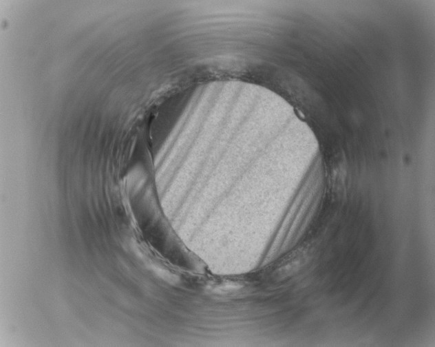 X0000053150772200508012309
