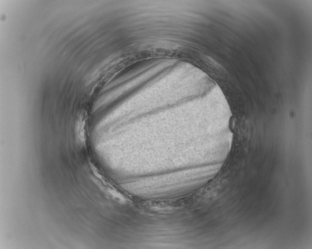 X0000053150774200508012309