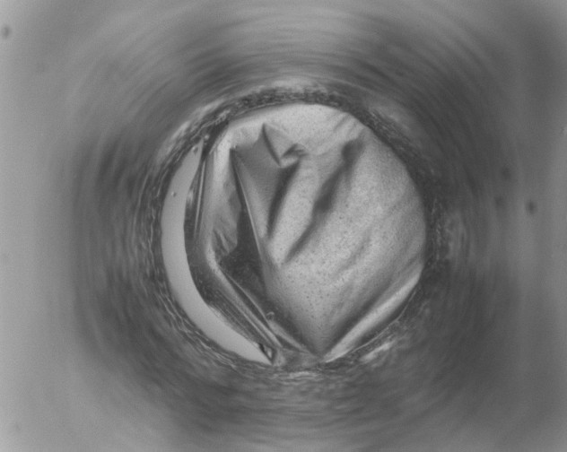 X0000053150776200508012309